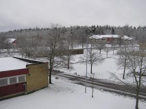 <img300*0:stuff/z/1/Snowy%2520trees/p1010002.jpg>