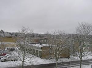 <img300*0:stuff/z/1/Snowy%2520trees/p1010006.jpg>