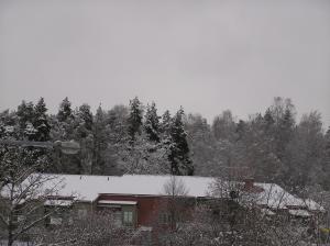 <img300*0:stuff/z/1/Snowy%2520trees/p1010007.jpg>