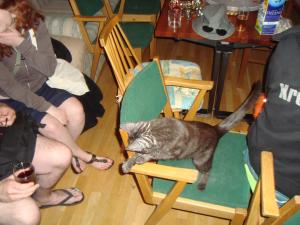 <img300*0:stuff/z/1/Sommar-X2010/DSC00949.JPG>