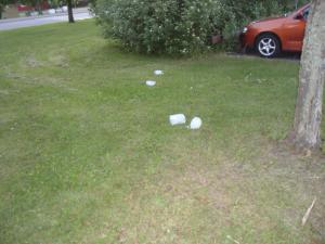 <img300*0:stuff/z/1/Sommar-X2010/DSC01011.JPG>