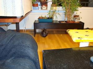 <img300*0:stuff/z/1/Testimgs/DSC00343.JPG>