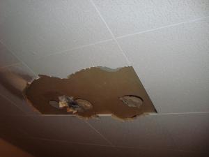 <img300*0:stuff/z/1/TexMex2010/DSC08855.JPG>
