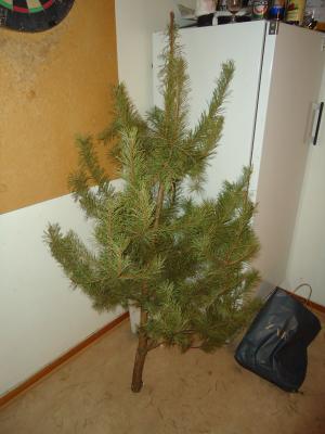 <imgl300*0:stuff/z/1/TheCorrydorParty/dsc03670.jpg>