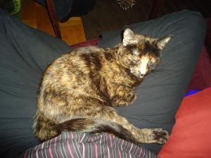 <img300*0:stuff/z/1/Tommy30/dsc06188.jpg>