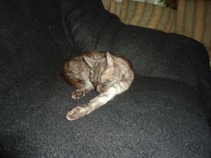 <img300*0:stuff/z/1/TrafficLightEvening/dsc05063.jpg>