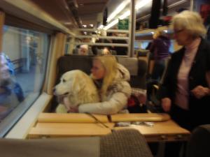 <img300*0:stuff/z/1/Travel%2520back%2520to%2520Lkp/DSC08065.JPG>