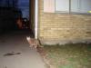 Tuesday2010-04-27