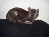 Tuesday2010-06-01