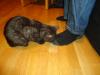 Tuesday2010-10-19