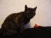 Tuesday2011-04-13