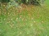 Tuesday2011-10-04