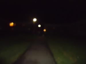 <img300*0:stuff/z/1/Tuesday2011-11-01/dsc05692.jpg>