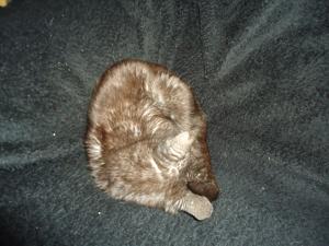 <img300*0:stuff/z/1/Tuesday2011-11-22/dsc05798.jpg>
