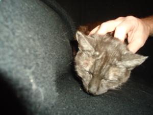 <img300*0:stuff/z/1/Tuesday2012-02-07/dsc06074.jpg>
