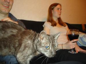 <img300*0:stuff/z/1/Tuesday2012-03-20/dsc06255.jpg>