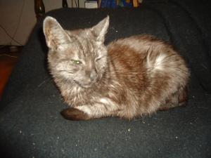 <img300*0:stuff/z/1/Tuesday2012-03-20/dsc06256.jpg>