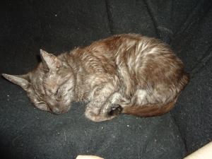 <img300*0:stuff/z/1/Tuesday2012-03-20/dsc06258.jpg>