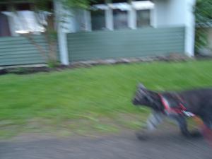 <img300*0:stuff/z/1/Tuesday2012-05-15/DSC06579.JPG>