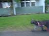 Tuesday2012-05-15