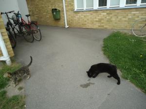 <img300*0:stuff/z/1/Tuesday2012-05-22/DSC06639.JPG>