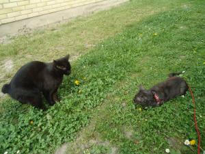 <img300*0:stuff/z/1/Tuesday2012-05-22/DSC06640.JPG>