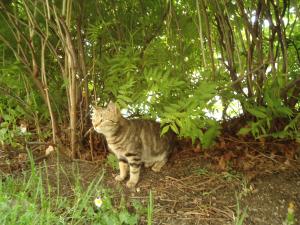 <img300*0:stuff/z/1/Tuesday2012-05-22/DSC06641.JPG>