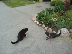 <img300*0:stuff/z/1/Tuesday2012-05-29/DSC06669.JPG>