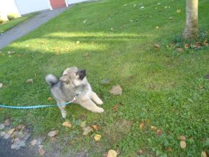 <img300*0:stuff/z/1/Tuesday2012-09-18/DSC07024.JPG>