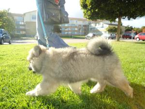 <img300*0:stuff/z/1/Tuesday2012-09-18/DSC07027.JPG>