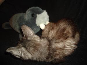 <img300*0:stuff/z/1/TuesdayWithFriends/DSC06381.JPG>