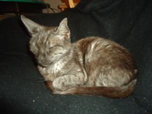 <img300*0:stuff/z/1/TuesdayWithFriends/DSC06384.JPG>