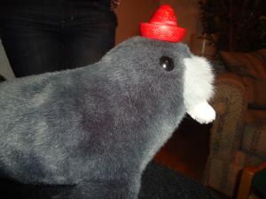 <img300*0:stuff/z/1/TuesdayWithFriends/DSC06385.JPG>