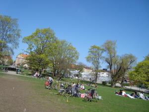 <img300*0:stuff/z/1/Valborg2009/DSC02313.JPG>