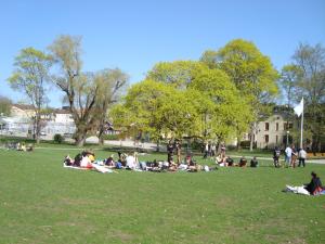 <img300*0:stuff/z/1/Valborg2009/DSC02315.JPG>