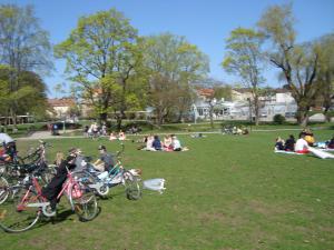 <img300*0:stuff/z/1/Valborg2009/DSC02316.JPG>