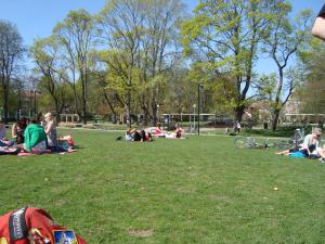 <img300*0:stuff/z/1/Valborg2009/DSC02328.JPG>