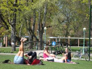 <img300*0:stuff/z/1/Valborg2009/DSC02333.JPG>