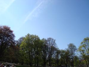 <img300*0:stuff/z/1/Valborg2009/DSC02382.JPG>