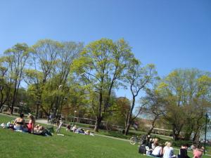 <img300*0:stuff/z/1/Valborg2009/DSC02384.JPG>