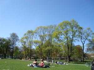 <img300*0:stuff/z/1/Valborg2009/DSC02385.JPG>