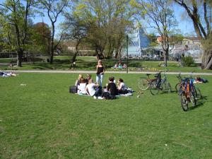 <img300*0:stuff/z/1/Valborg2009/DSC02393.JPG>