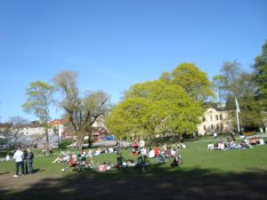 <img300*0:stuff/z/1/Valborg2009/DSC02400.JPG>