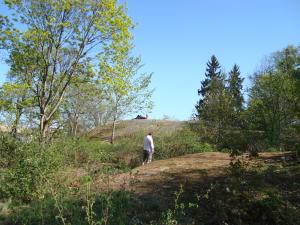 <img300*0:stuff/z/1/Valborg2009/DSC02402.JPG>