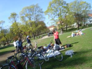 <img300*0:stuff/z/1/Valborg2009/DSC02407.JPG>