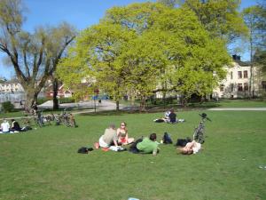 <img300*0:stuff/z/1/Valborg2009/DSC02411.JPG>