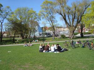 <img300*0:stuff/z/1/Valborg2009/DSC02413.JPG>