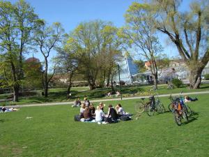 <img300*0:stuff/z/1/Valborg2009/DSC02420.JPG>