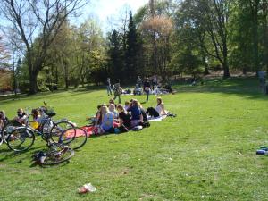 <img300*0:stuff/z/1/Valborg2009/DSC02424.JPG>