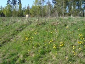 <img300*0:stuff/z/1/Valborg2009/DSC02444.JPG>